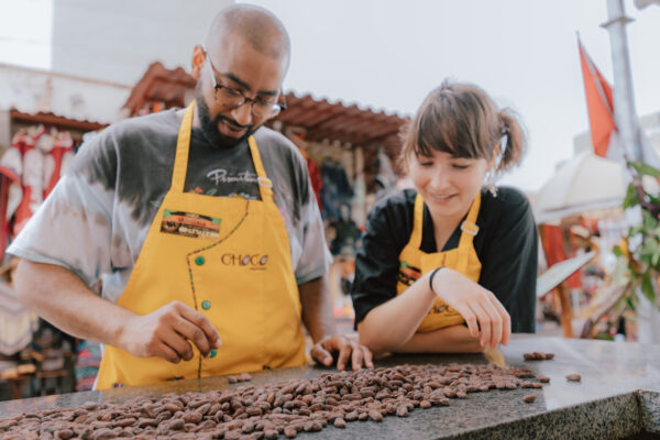 Selecting cacao